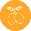 aceituna icon