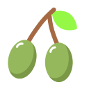 aceituna icon