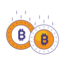 bitcoin icon