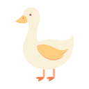 pato icon