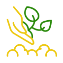 replantación icon