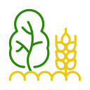 agroforestería icon