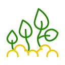 cultivo de plantas icon