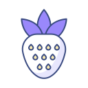 fresa icon