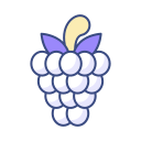 rashberry icon