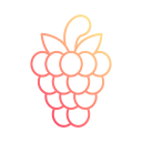 rashberry icon