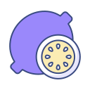 kiwi icon