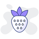 fresa icon