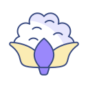 coliflor icon