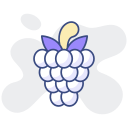 rashberry icon