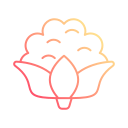 coliflor icon