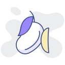 mango icon