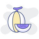 melón icon