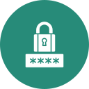 seguridad icon