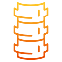 columna vertebral icon