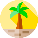 Palmera icon