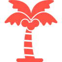 Árbol de coco icon