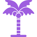 Árbol de coco icon