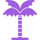 Árbol de coco icon