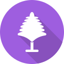 Árbol icon