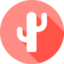 cactus icon