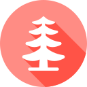 Árbol icon