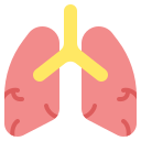 pulmones icon