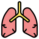 pulmones icon