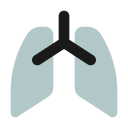 pulmones icon