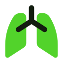 pulmones icon