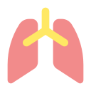 pulmones icon