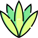 Agave icon