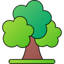 Árbol icon