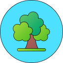 Árbol icon