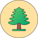 Árbol icon