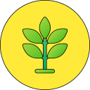 planta icon