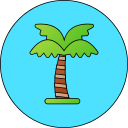 palmera icon