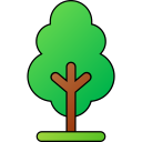 Árbol icon