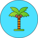 Árbol de coco icon