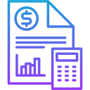 contabilidad presupuestaria icon