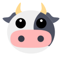 vaca 