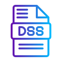 dss 