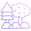 forêt 