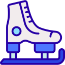 Ice skate 