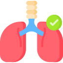 Pulmones icon