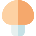 다이어트 icon