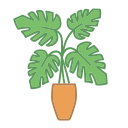 planta icon