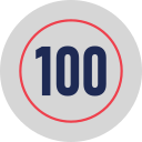 100 icon