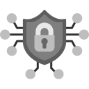 seguridad cibernética icon