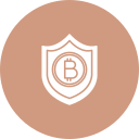 blindaje icon